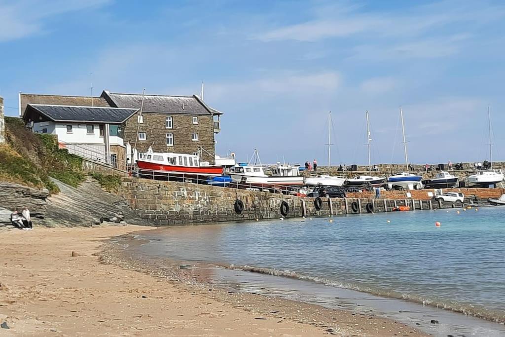 Villa Arvonia Sleeps 7, Sea Views, Dog Friendly New Quay  Exterior foto